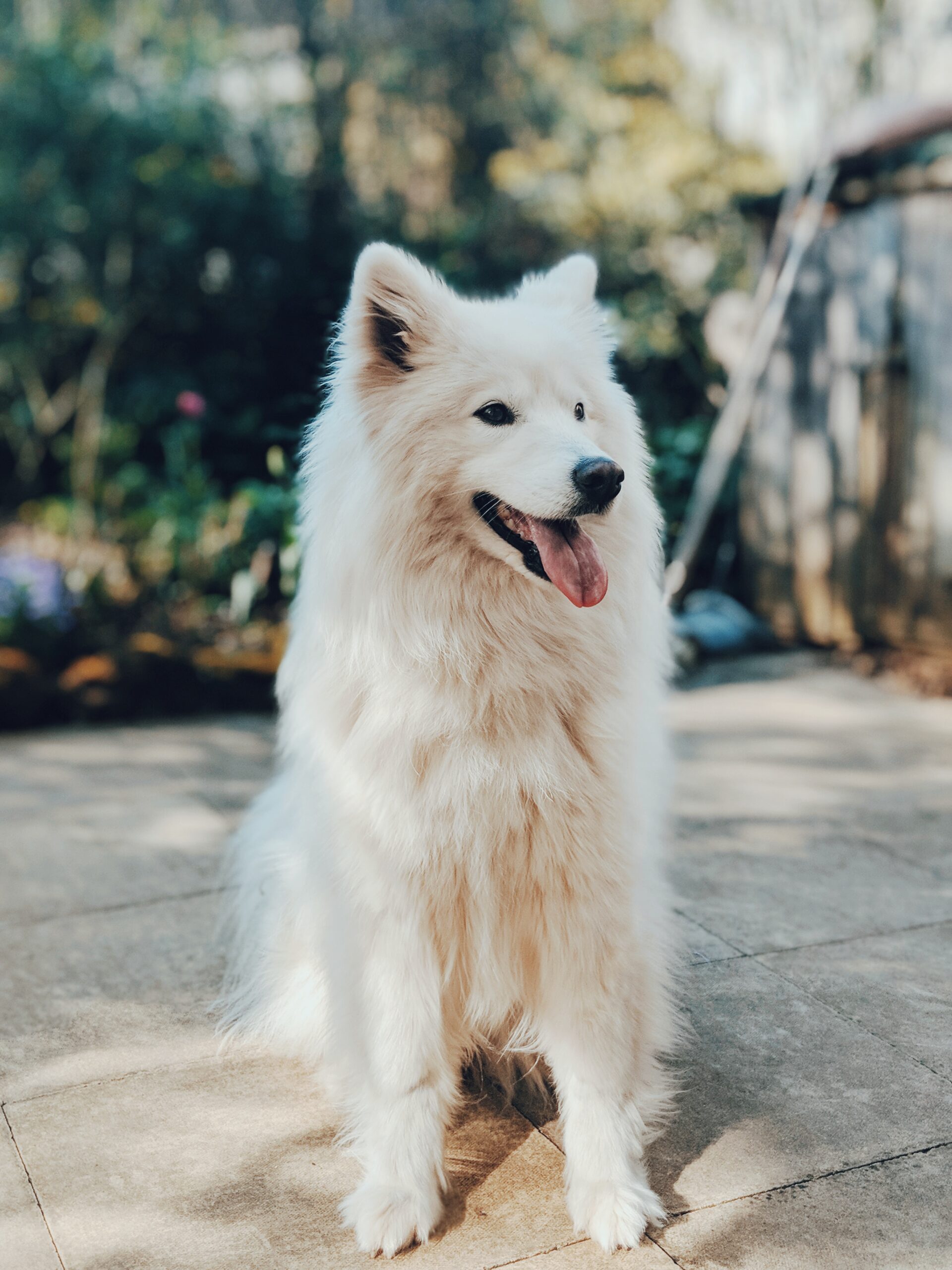 lui-peng-ybHtKz5He9Y-unsplash